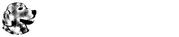 Studio F