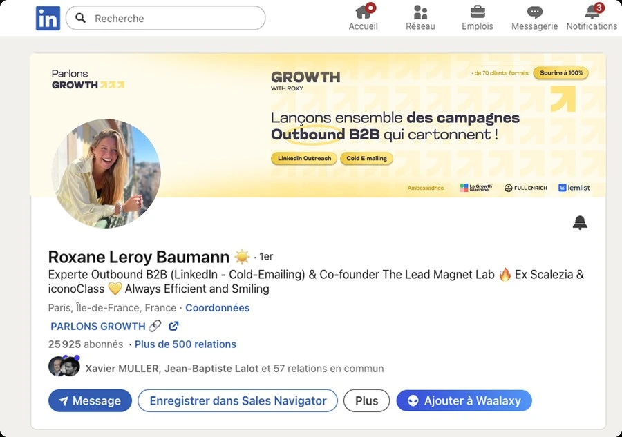 Profil LinkedIn de Roxane Leroy avec la nouvelle bannière