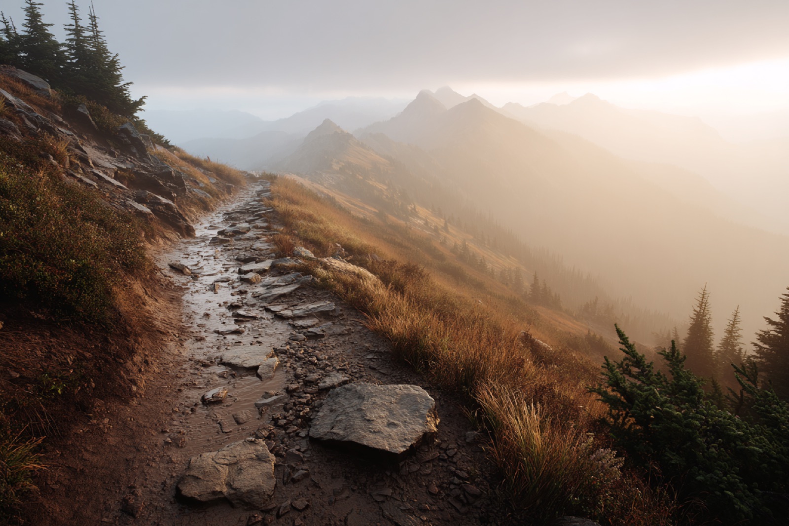 Paysages & nature, Visuel 6